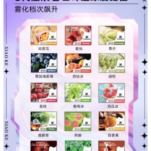XIAOKE 可替換式電子煙 (兼容 RELX6代) (常備款)